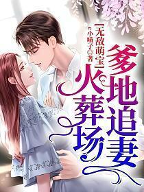 无敌萌宝爹地追妻火葬场
