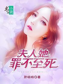 秦少的隐婚罪妻全文阅读