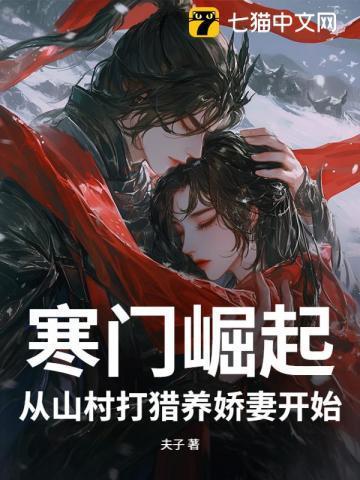 寒门崛起 分类穿越