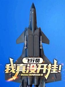 飞行员开局