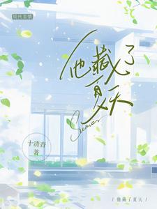 他藏了夏天纪安