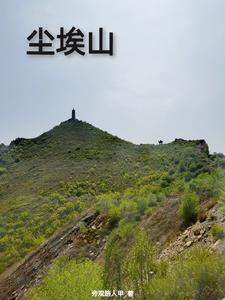 尘埃山原著在哪里看
