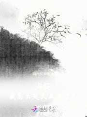穿越斗罗之我是反派大佬
