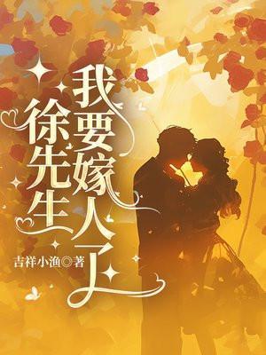徐先生一直在求婚txt