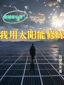 穿越修仙界我用太阳能修炼TXT(独鳝其身)