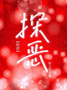 みかぐら探侦団2