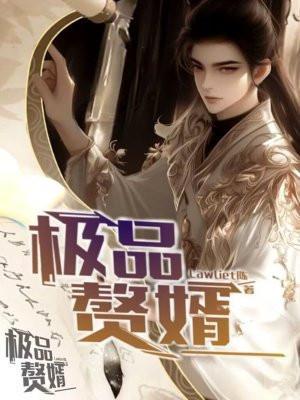 绝品女婿
