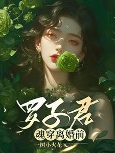 女主叫罗子君的电视剧