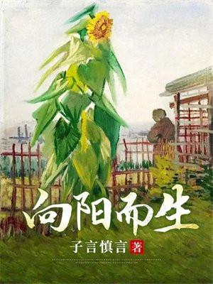 向阳而生的下一句