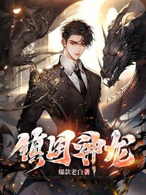 镇国神龙短剧免费完整版观看