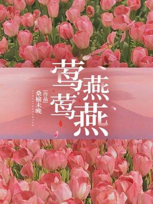 莺莺燕燕近义词
