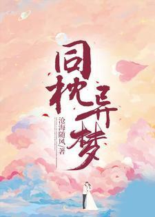 同枕异梦讲了什么