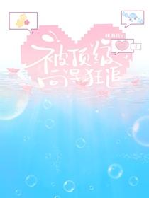 被顶级向导狂追的