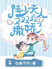 陆少夫人又双叒撒娇了大结局