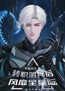 哨兵向导星际原耽