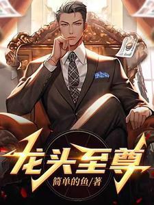 龙头至尊TXT无弹窗