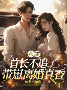 带崽离婚真香作 者辣条不辣