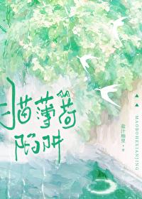 猫薄荷陷阱(作者·盐汁柚里)