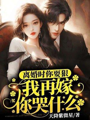 我再嫁你哭什么 书评