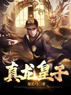 真龙皇子厉寒动画片