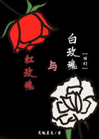 红玫瑰与白玫瑰经典语录