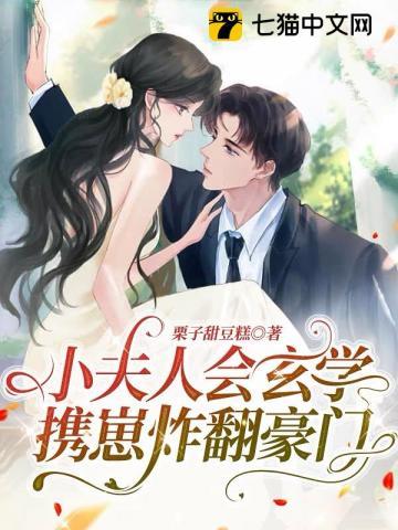 小夫人在线阅读