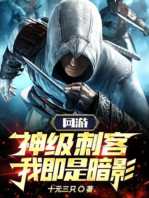 网游神级刺客我即是暗影动漫在线观看