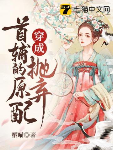 穿成抛弃首辅的原配txt