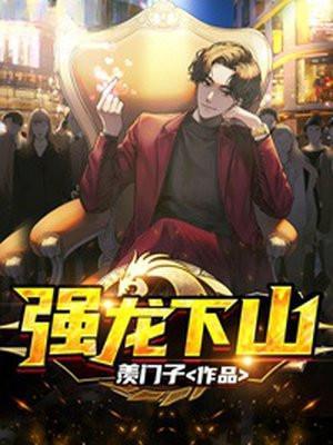 强龙下山第十五章