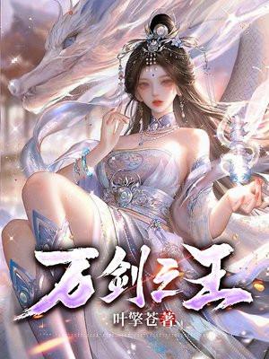 万剑之王—西方之焰外观