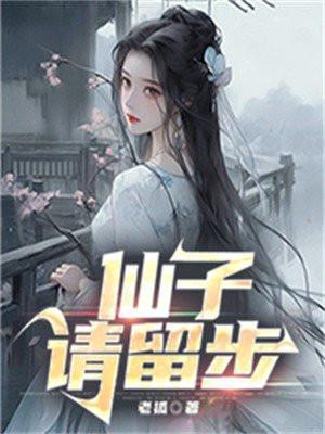仙子请留步秦枫免费阅读