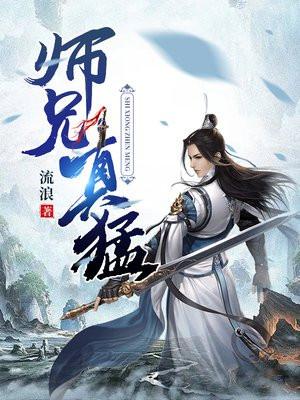 师兄真猛TXT