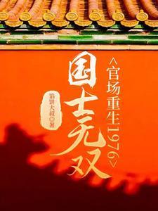 国士无双官场重生1976馅饼大叔免费