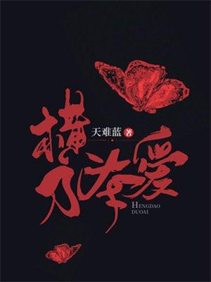 横刀夺爱电视剧