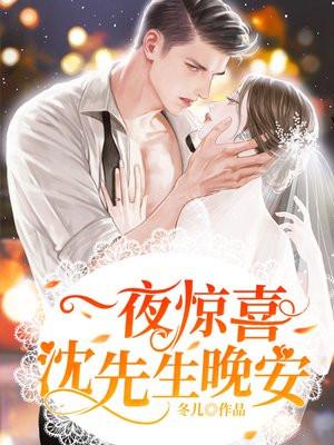 一夜惊喜沈先生晚安