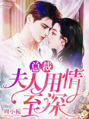 总裁夫人的情人