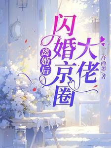 闪婚京圈大佬笔趣阁