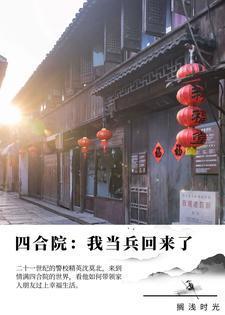 四合院我当兵回来了 作者搁浅时光著