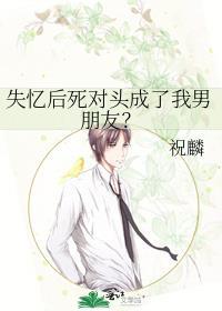 失忆后和死对头在一起了在线阅读