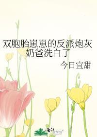 双胞胎崽崽的反派炮灰奶爸洗白了作者今日宜甜