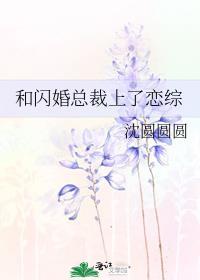 和总裁闪婚的电视剧