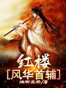 红楼风华首辅_