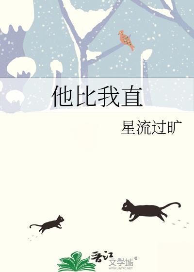 他比我直全文免费阅读