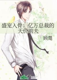 盛宠入骨亿万总裁的天价前夫书单