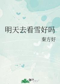 明天去看雪好吗百度