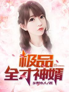 极品全才神婿全文免费阅读