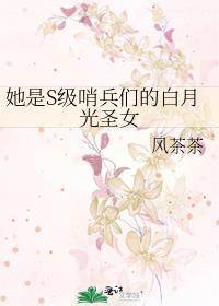 她是s级哨兵们的白月光免费阅读