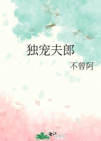 独宠夫郎作者不曾阿