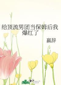 给顶流男团当保姆后我爆红了赢辞
