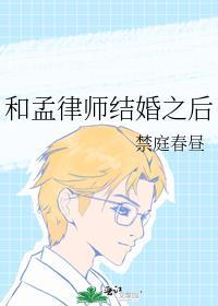 和孟律师结婚之后在线阅读